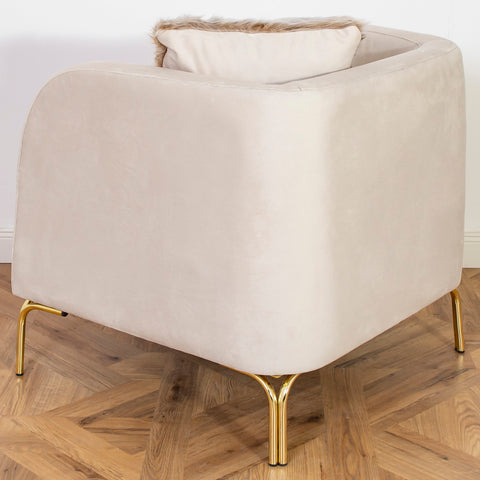 FOTOLIU TAPITAT NOVO , BEJ CU AURIU