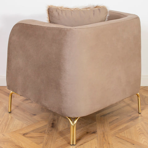 FOTOLIU TAPITAT NOVO , CAPUCINO CU AURIU